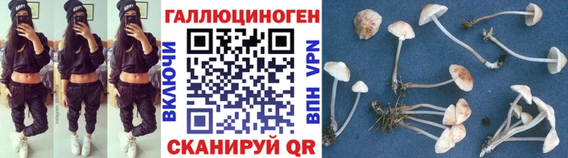 МЕГА   Петушки  Псилоцибиновые грибы Cubensis 